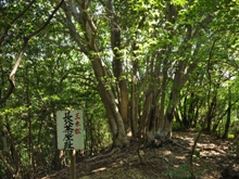 �׍⓻�̒����ՂƐΕ�