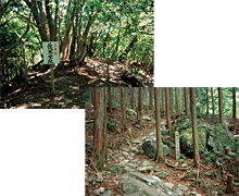 �c�d���g���E�׍⓻�U��R�[�X