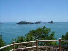 �{������