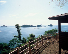 ��Γ��E�F�J���R�[�X