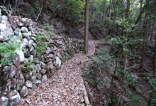 �����̓�