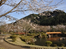 ��܂������q�̗��i�I�k�j