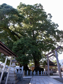 ���h�_��