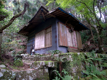 �O��r�_��