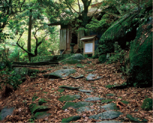 ���S�R�z���R�[�X