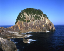 �|����i�F��j