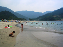 �V���C������