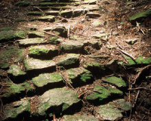 ��ؓ����`���_�⓻�R�[�X