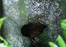 �O�@�䑫�Ր�