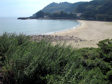 �唑�C������