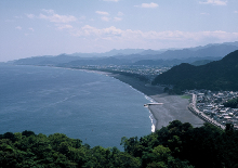 ���{���Ɠ����̔~�тƂ����܉�