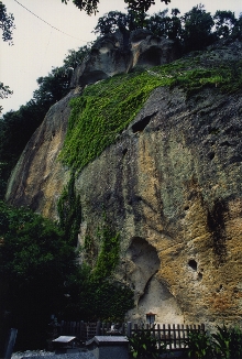 ���{���`�Ԃ̌A�R�[�X