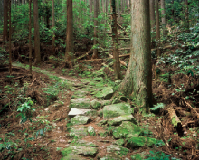 �ʂ蓻�R�[�X