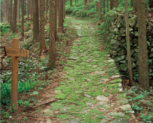 ���`���R�[�X