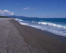 �l�X���i�k�j�R�[�X