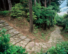 ���_���R�[�X