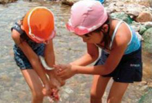 ���܂����݊l��̌�