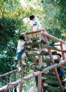 �t�B�[���h�T�[�L�b�g