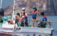 �F���E�V���p�̃P���P�����ƃ^�R�������̌�