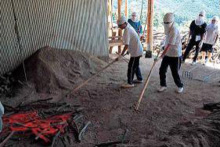 �I�B�E���F��̒Y�Ă��̌�