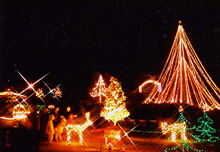 ���̍ՓTin�I��