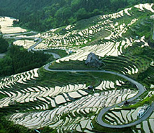 �ێR�疇�c  �c�A���̏W��