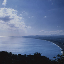 �悤�������I�B��