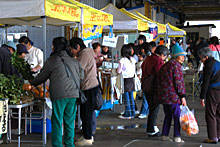 �O�d�����Ȃ����܍`�s