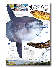 ���I�B�̏{�@05��